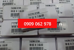 Thermistor E656/720